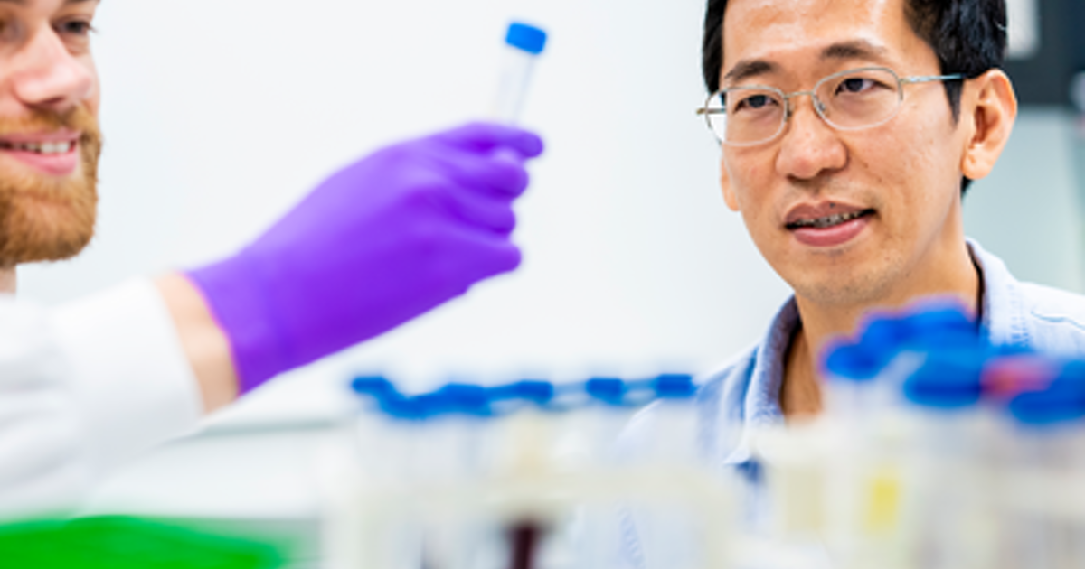 Liver tumor organoids point to potential treatment